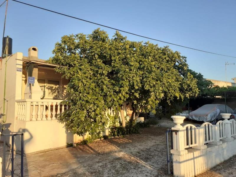 Srecko Apartman Rogoznica  Εξωτερικό φωτογραφία